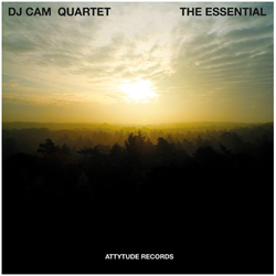 DJ Cam Quartet The Essential RSD coloured vinyl LP