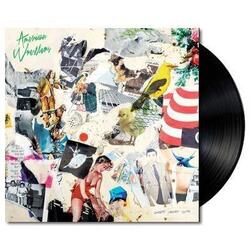 American Wrestlers Goodbye Terrible Youth