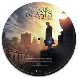 Fantastic Beasts And Where To Fid Them music from vinyl 12" picture disc 