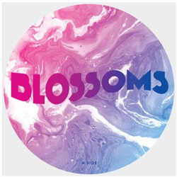 Blossoms / Joe Duddell Live From Portmeirion Town Hall RSD vinyl 10
