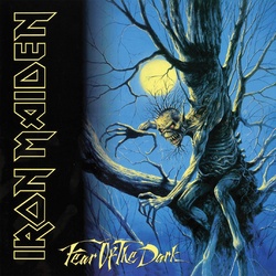 Iron Maiden Fear Of The Dark 2017 reissue VINYL 2 LP