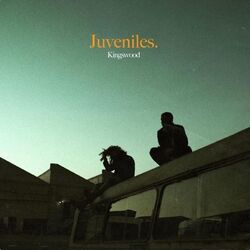 Kingswood Juveniles vinyl LP