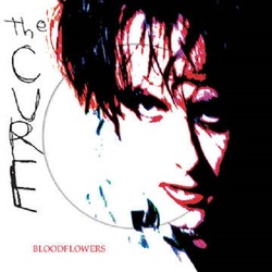 The Cure Bloodflowers US RSD Vinyl 2 LP picture disc gatefold sleeve