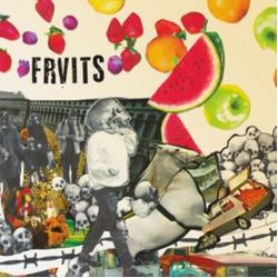 Frvits Stupid Era VINYL