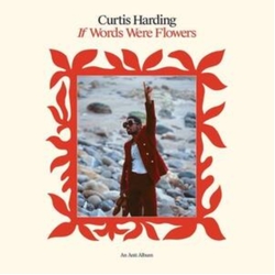 Curtis Harding IF Words Were Flowers VINYL LP