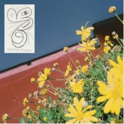 Laundromat Chicks Sometimes Possessed VINYL LP