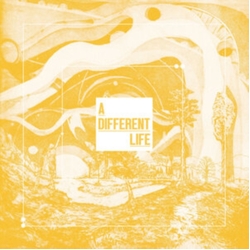 Catt Different Life (2LP) VINYL LP