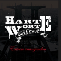 Harte Worte Extrem Unangenehm VINYL LP