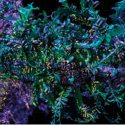 Ben Frost Broken Spectre VINYL 2 LP