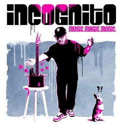 Incognito Music. Magic. Ironic. CD