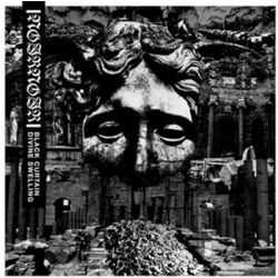 Noir Noir Black Curtain / Divine Swelling VINYL LP
