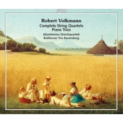 Robert Volkmann & Mannheimer Streichquartett & Beethoven Trio Ravensburg Complete String Quartets - Piano Trios CD