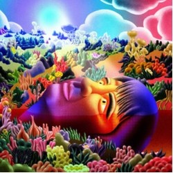 Joe Wong Mere Survival VINYL LP