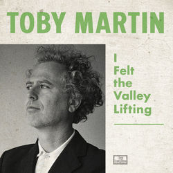 Toby Martin I Felt The Valley Lifting VINYL LP