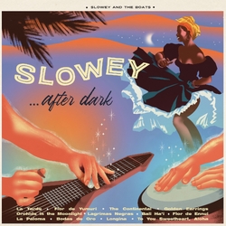 Slowey And The Boats Slowey After Dark VINYL LP