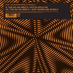 No-Na-Mees Gotta Hold on / Just Wanna BE Myself (UK) VINYL 7"