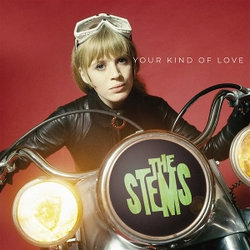 The Stems Your Kind Of Love VINYL 7"
