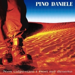 Pino Daniele Non Calpestare I Fiori Nel Deserto VINYL LP