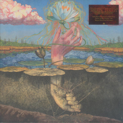 Moon Tooth Phototroph VINYL LP USED
