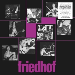 Friedhof VINYL LP