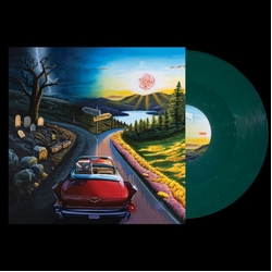 Haywire 617 I Don't Wanna Say Goodbye VINYL LP