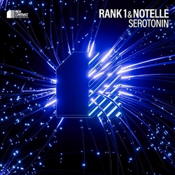 Rank 1 Serotonin VINYL 12"
