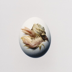 Shygirl Swallow CD