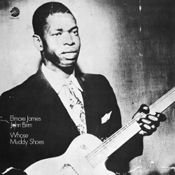 JAMES, Elmore/JOHN BRIM Whose Muddy Shoes (Acoustic Sounds Series) VINYL LP