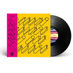O Terno Melhor DO Que Parece (Aniv) VINYL LP