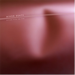 Minor Dents Sitting With The Fish VINYL LP