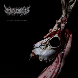 Mental Cruelty Echoes of a Forlorn Land CD