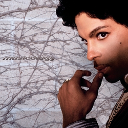 Prince Musicology VINYL LP