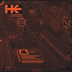 Hackney Electronica Feedback Memory VINYL 12"