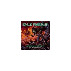 Iron Maiden From Fear To Eternity 1990-2010 VINYL LP