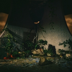 The Plot In You CD