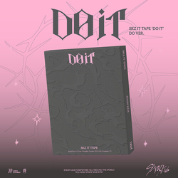 Stray Kids Do It ' (DO VER) CD