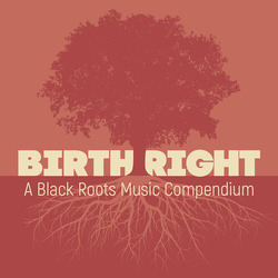 Various Birth Right: A Black Roots Music Compendium 2 CD