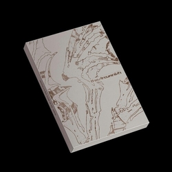 Enhypen THE SIN: VANISH [AFTERLIGHT Ver.] PHOTOCARD STICKER CD