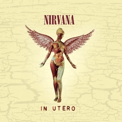 Nirvana In Utero ANNIVERSARY CD