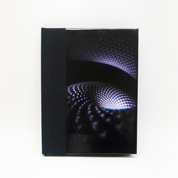 Tool Fear Inoculum CD
