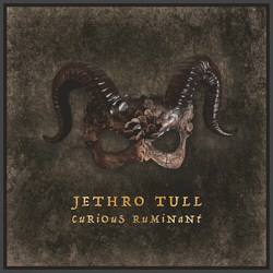 Jethro Tull Curious Ruminant CD
