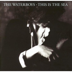 The Waterboys This Is The Sea COLLECTOR'S 2 CD