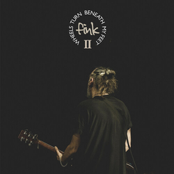 Fink Wheels Turn Beneath My Feet II CD