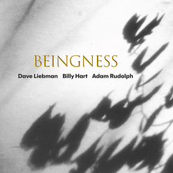 Dave Liebman & Billy Hart & Adam Rudolph Beingness CD