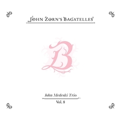 John Zorn Bagatelles Vol 8: John Medeski Trio CD