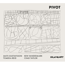 Mats Gustafsson & Ken Vandermark & Tomeka Reid & Chad Taylor Pivot CD