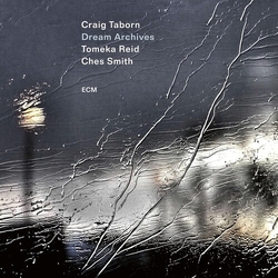 Craig Taborn & Tomeka Reid & Ches Smith Dream Archives CD