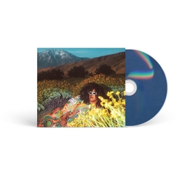 Brittany Howard What Now CD