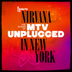 Various A Tribute To Nirvana - The Songs Of MTV Unplugged In New York CD