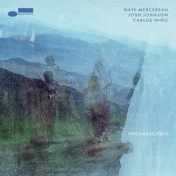 Nate Mercereau & Josh Johnson & Carlos Niño Openness Trio CD